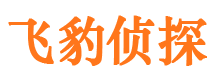 和县侦探公司